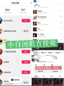 一天做完别一辈子的视频制作最近很火的《1000个野路子信息差》100%过原创【揭秘】-淘金日记