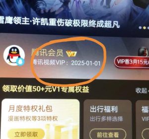 外面收费88撸腾讯会员2年，号称百分百成功，具体自测【操作教程】-淘金日记