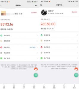 闲鱼流量掘金-虚拟变现新玩法配合全网项目库,精准引流变现3W+-淘金日记