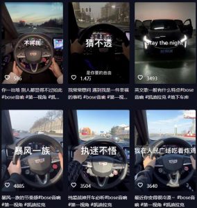 抖音开车视频项目,0基础操作,每天五分钟,月入1W+【揭秘】-淘金日记