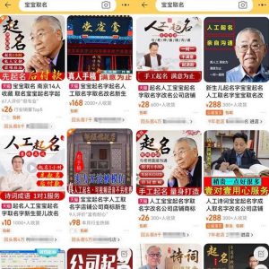 拆解小红书宝宝起名虚拟副业项目，一条龙实操玩法分享给你（教程+软件）-淘金日记