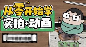 从零开始学实拍加动画,实拍加动画创意教程-淘金日记