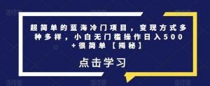 超简单的蓝海冷门项目，变现方式多种多样，小白无门槛操作日入500+很简单【揭秘】-淘金日记
