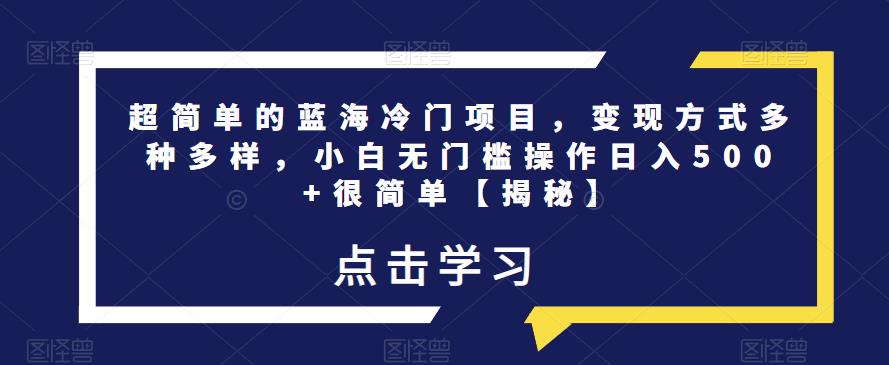 超简单的蓝海冷门项目，变现方式多种多样，小白无门槛操作日入500+很简单【揭秘】-淘金日记