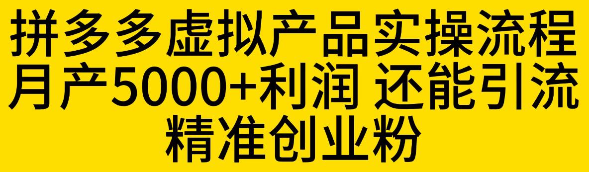 拼多多虚拟产品实操流程，月产5000+利润，还能引流精准创业粉【揭秘】-淘金日记