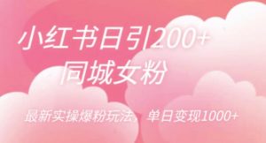 小红书日引200+同城女粉，最新实操爆粉玩法，单日变现1000+【揭秘】-淘金日记