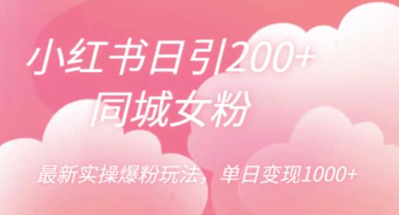 小红书日引200+同城女粉，最新实操爆粉玩法，单日变现1000+【揭秘】-淘金日记