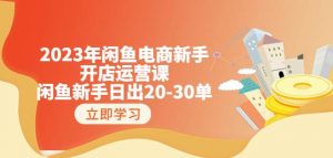 2023年闲鱼电商新手开店运营课：闲鱼新手日出20-30单（18节-实战干货）-淘金日记