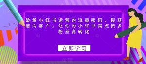破解小红书运营的流量密码，揽获意向客户，让你的小红书高点赞多粉丝高转化-淘金日记