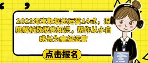 2023淘宝数据化运营14式，深度解析数据化知识，帮你从小白成长为高级运营-淘金日记