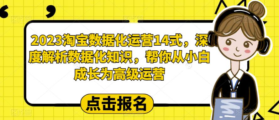 2023淘宝数据化运营14式，深度解析数据化知识，帮你从小白成长为高级运营-淘金日记