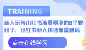 新人玩转小红书流量暴涨的8个野路子，小红书新人快速流量破局-淘金日记