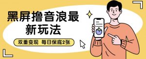 黑屏撸音浪最新玩法，双重变现，每日保底2张【揭秘】-淘金日记