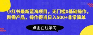 小红书最新蓝海项目,无门槛0基础操作,刚需产品,操作得当日入500+非常简单【揭秘】-淘金日记