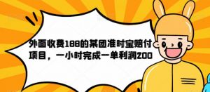 外面收费188的美团准时宝赔付项目，一小时完成一单利润200【仅揭秘】-淘金日记