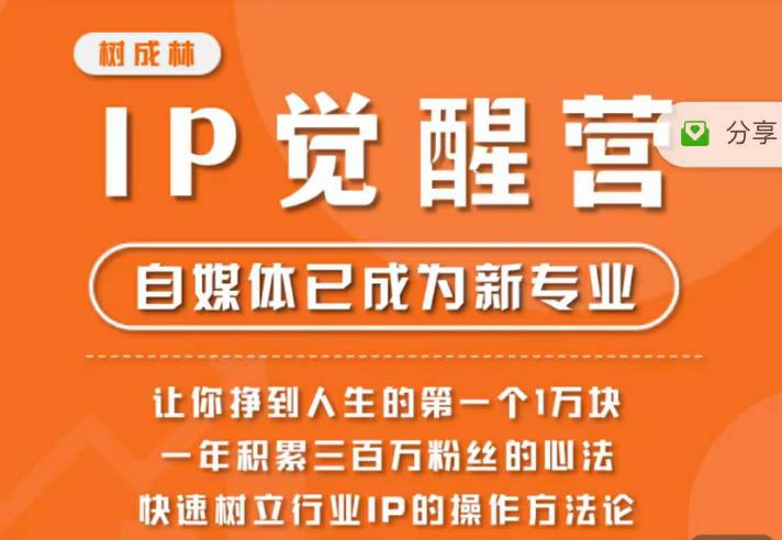 树成林·IP觉醒营,快速树立行业IP的操作方法论,让你赚到人生的第一个1万块(更新)-淘金日记