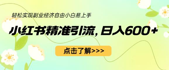 小红书精准引流，小白日入600+，轻松实现副业经济自由（教程+1153G资源）-淘金日记