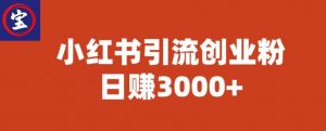 宝哥小红书引流创业粉,日赚3000+【揭秘】-淘金日记