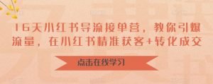 16天小红书导流接单营，教你引爆流量，在小红书精准获客+转化成交-淘金日记