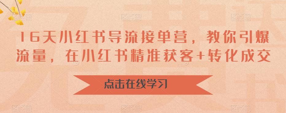 16天小红书导流接单营，教你引爆流量，在小红书精准获客+转化成交-淘金日记
