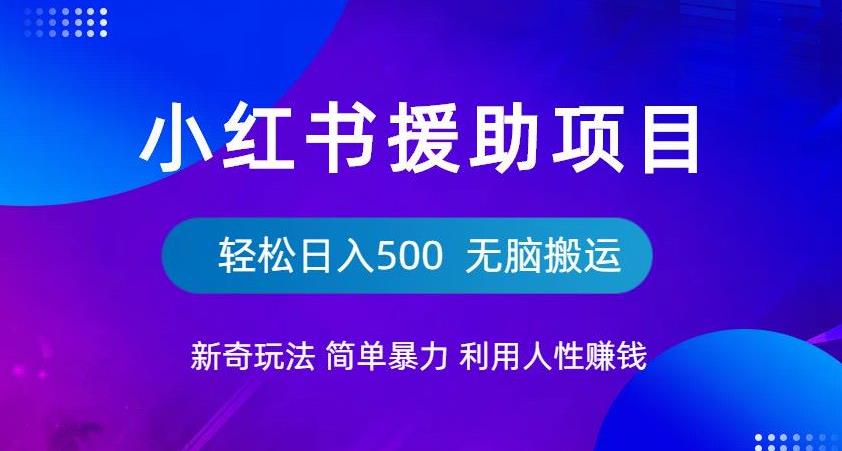 小红书援助项目新奇玩法,简单暴力,无脑搬运轻松日入500【揭秘】-淘金日记