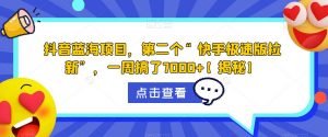 抖音蓝海项目,第二个“快手极速版拉新”,一周搞了7000+【揭秘】-淘金日记