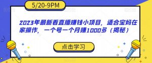 2023年最新看直播赚钱小项目，适合宝妈在家操作，一个号一个月赚1000多（揭秘）-淘金日记