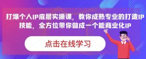 蟹老板·打爆个人IP底层实操课,教你成熟专业的打造IP技能,全方位带你做成一个能商业化IP-淘金日记