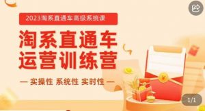 冠东·2023淘系直通车高级系统课，​实操性，系统性，实时性，直通车完整体系教学-淘金日记