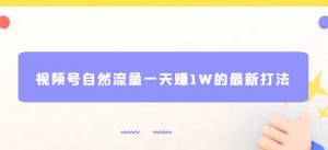 视频号自然流量一天赚1W的最新打法，基本0投资【揭秘】-淘金日记