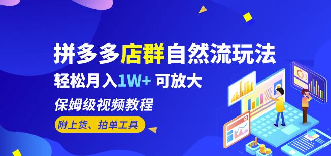 拼多多店群自然流玩法，轻松月入1W+保姆级视频教程（附上货、拍单工具）-淘金日记
