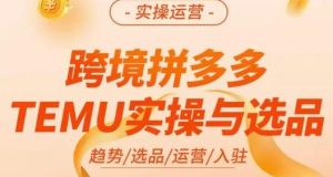 伍跃·跨境拼多多TEMU实操与选品，​趋势/选品/运营/入住（27节完整）-淘金日记