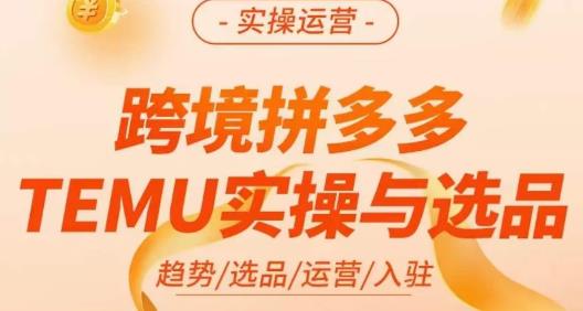 伍跃·跨境拼多多TEMU实操与选品，​趋势/选品/运营/入住（27节完整）-淘金日记