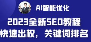 2023最新网站AI智能优化SEO教程，简单快速出权重，AI自动写文章+AI绘画配图-淘金日记