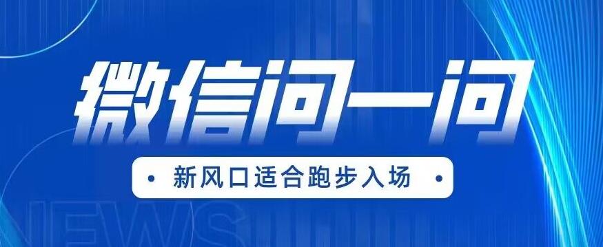 全网首发微信问一问新风口变现项目(价值1999元)【揭秘】-淘金日记