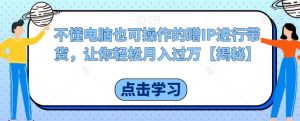 不懂电脑也可操作的蹭IP进行带货，让你轻松月入过万【揭秘】-淘金日记