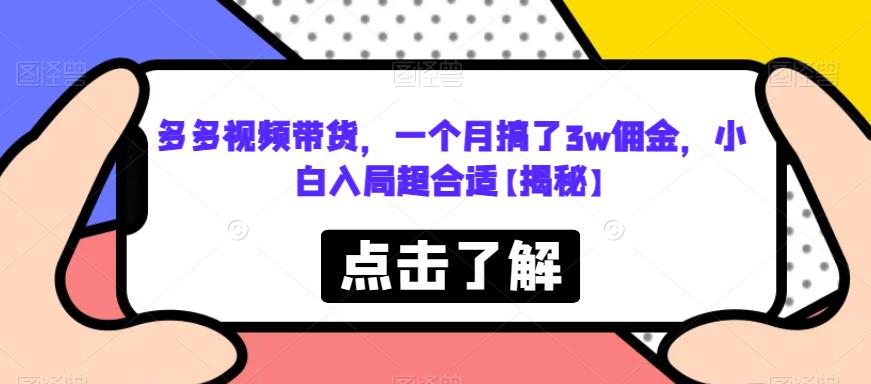 多多视频带货,一个月搞了3w佣金,小白入局超合适【揭秘】-淘金日记