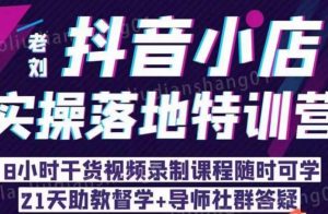 老刘·抖店商品卡流量,抖音小店实操落地特训营,8小时干货视频录制课程随时可学-淘金日记