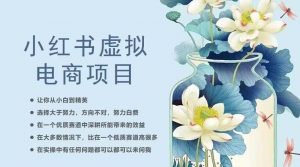 小红书虚拟电商从0到1,让你从小白到精英(20节实操课程)-淘金日记