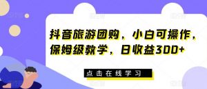 抖音旅游团购，小白可操作，保姆级教学，日收益300+【揭秘】-淘金日记