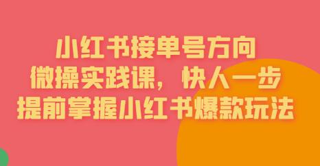 接单号方向·小红书微操实践课，快人一步，提前掌握小红书爆款玩法-淘金日记
