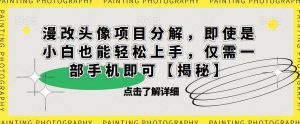 漫改头像项目分解,即使是小白也能轻松上手,仅需一部手机即可【揭秘】-淘金日记