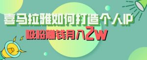 喜马拉雅如何打造个人IP，吸粉赚钱月入2W【揭秘】-淘金日记