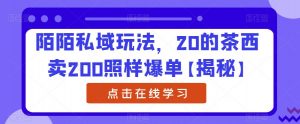 陌陌私域玩法，20的茶西卖200照样爆单【揭秘】-淘金日记