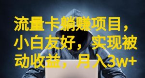 流量卡躺赚项目,小白友好,开设后台,实现被动收益,只要出卡,就能一直赚钱,利润高昂【揭秘】-淘金日记