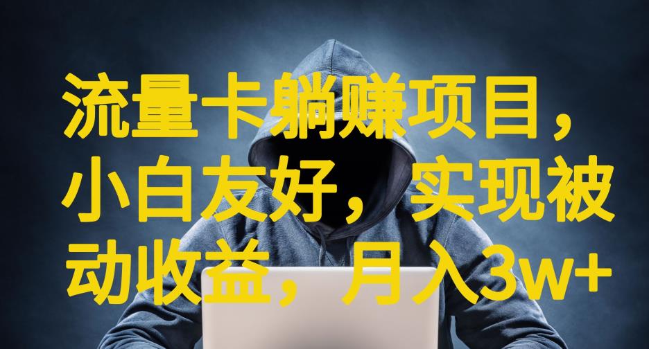 流量卡躺赚项目,小白友好,开设后台,实现被动收益,只要出卡,就能一直赚钱,利润高昂【揭秘】-淘金日记