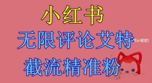 小红书无限评论艾特截流精准粉（软件+教程）-淘金日记