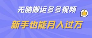 无脑搬运多多视频,新手也能月入过万【揭秘】-淘金日记
