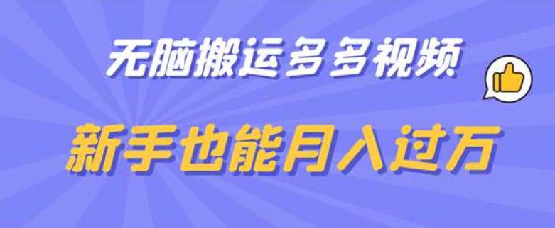 无脑搬运多多视频,新手也能月入过万【揭秘】-淘金日记