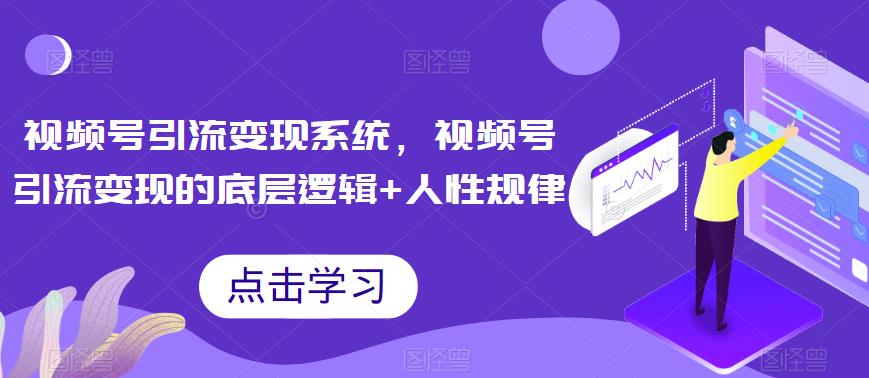 视频号引流变现系统，视频号引流变现的底层逻辑+人性规律-淘金日记